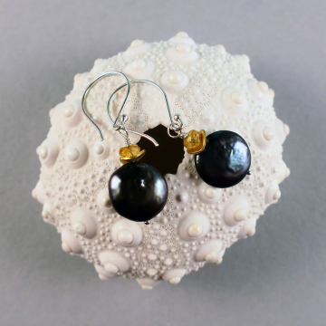Handmade Blue Coin Pearl Earrings